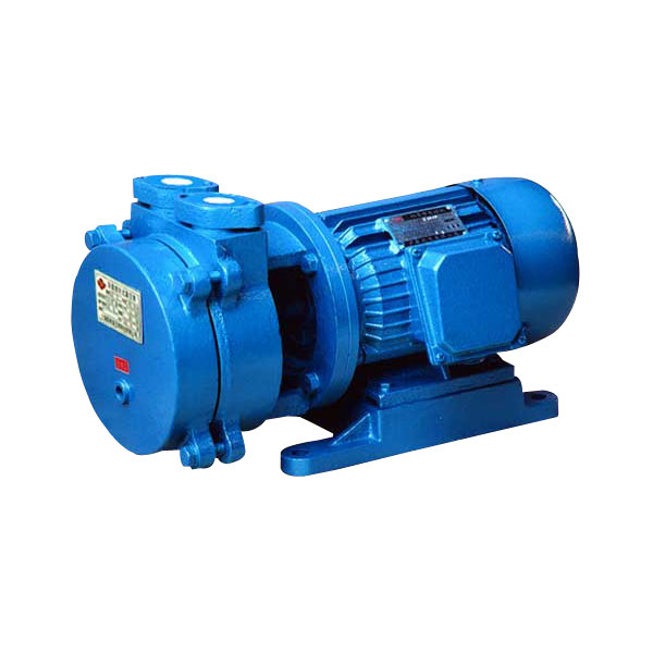 SK-0.15直聯水環(huán)式真空泵