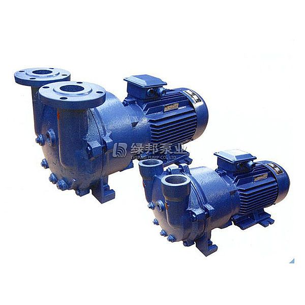 2BV水環(huán)式真空泵